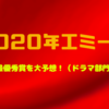 2020年エミー賞の最優秀作品・女優・俳優を予想！！ドラマ部門編