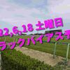 2022,6,18 土曜日 トラックバイアス予想 (東京競馬場、阪神競馬場、函館競馬場)