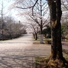 もうすぐ花見かな