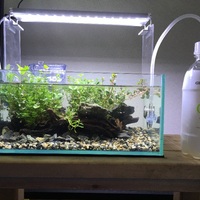 30cmロータイプ水槽でハードスケープを作ってみました Ash式アクアリウム 30cmロータイプ水槽でハードスケープを作ってみました Ash式アクアリウム