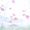 本好きな人を増やしたいのでも、俳句を世の中に広めたいのでもないのだと思う