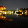 昭和記念公園　日本庭園ライトアップ2022