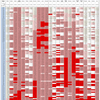 新型コロナウイルス、国別・人口あたり新規感染者数（12月29日現在） /  COVID-19 cases per population by country, as of December 29, 2021