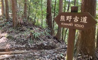 記事を見る