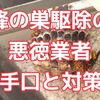 【蜂の巣駆除】の悪徳業者の手口と対策法を解説！