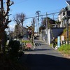 2025/01/13 飛田給・是政 03 西武多摩川線踏切・まむし坂/府中市No.24古墳/溝合神社/溝合公園/小田分/石井神社/小柳前田公園