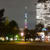 夜には外に出かけよう