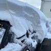 いない間ずっと大雪だったので