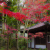 安らぎの聖地三瀧寺。非日常空間に魅せられました。