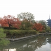 京都「東寺」紅葉　2023