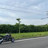 子育ていろいろ。