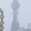 7月は雨で始まった