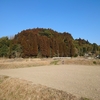 畑田城（宮崎県えびの市東長江浦）