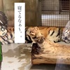 天王寺動物園!  〜クロッキー小旅行〜