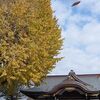 海浜幕張駅近くの紅葉