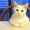 子供たちの願い (・・;)
