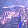 【MHW】21108珊瑚は追憶のキリン