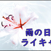 雨の日の2人組を笑顔で返した雑記。