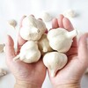 にんにくサプリメントのメリットとデメリット。商品の違いや比較まとめ