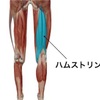 走ってる時にブレーキをかける筋肉が大事！！？？