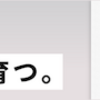 ネットショップデビューおすすめ