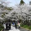 ◎霊界通信　「幽霊の捉え方（見本）」