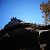 県下有数の歴史ある【岡宮神社】