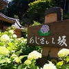 いつのまにか紫陽花も見納めの時節になりました