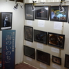 瀬戸内海水中写真展「海のいのち」in 柳井グランドホテル