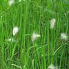 散策路から