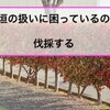 【庭２】しがない専業主婦は 庭の生垣を「伐採」する