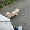6/26の日記