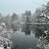 墨絵のような雪景色＊雲場池と矢ヶ崎公園