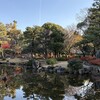 12月のまとめ　（2024-W49〜W52）