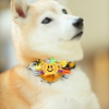 シャンプーの日とハロウィン