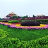 Flowers at Tiananmen, Beijing