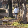 言葉で元気になる／老道・244