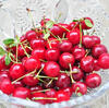 fresh sour cherry★