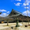 スタイル適用した高田本山専修寺