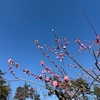 ２月２８日
