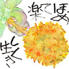 【西東京の植物絵手紙（40）…西東京市保谷町でエケベリアの花を見つけた！】