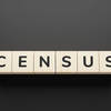 Should The Citizenship Concern Be Included In The San Diego Census