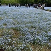 長居植物園