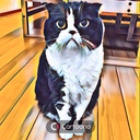aoiの生活ノート