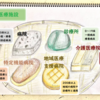 問題73　医療提供体制