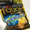タフグミ ビビッドパイン味