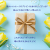 ＜手紙*挨拶＞ 2024年　紙飛行機レター【5月】