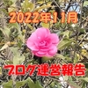 2022年11月ブログ運営報告 うつ病悪化で運営も悪化