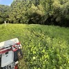 お盆の後の草刈りーその４：丸山城跡本丸ー