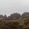 今朝の景色